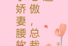 小娇妻腰软心傲,总裁迷小说有没有完结版在线?-推书机