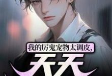 完结版《我的厉鬼宠物太调皮，天天捉迷藏》章节目录在线阅读-推书机