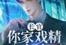 免费看长官,你家戏精又在演小说的网站有哪些?-推书机