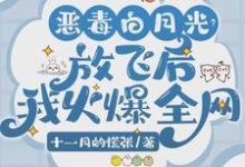 恶毒白月光?放飞后我火爆全网唐棠小说大结局免费试读-推书机