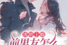 诱哄上瘾,前男友怎么总想和我复合免费阅读,诱哄上瘾,前男友怎么总想和我复合章节在线阅读-推书机