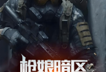 枪娘暗区:开局拜师尤文小说有没有完整的免费版本在线阅读?-推书机
