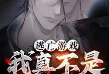 《逃亡游戏：我真不是杀人犯！》小说大结局免费试读 叶翊小说-推书机
