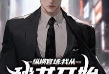 纵横官场：我从秘书开始强势崛起小说免费资源，纵横官场：我从秘书开始强势崛起在线阅读-推书机