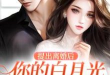 完整版小说《提出离婚后,你的白月光怎么不香了》免费阅读-推书机