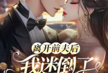 离开前夫后,我迷倒了豪门太子爷完整版小说,离开前夫后,我迷倒了豪门太子爷最新章节-推书机