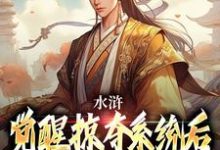 《水浒:觉醒掠夺系统后,我杀疯了》小说章节列表免费试读,张文远小说在线阅读-推书机