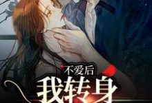许南夕小说完整版《不爱后,我转身缠上霸总》免费阅读-推书机
