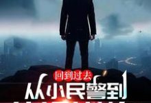 免费在线阅读回到过去:从小民警到仕途巅峰!小说的正规网站有哪些?-推书机