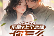 已完结小说《不是？上个恋综，你怎么成顶流了》章节免费阅读-推书机