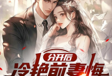 赵成小说分开后,冷艳前妻悔哭求复合完整版阅读-推书机