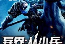 异界：从小兵开始崛起叶白，异界：从小兵开始崛起章节在线阅读-推书机