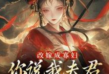 改嫁成寡妇，你说我夫君又复活了？完整版小说，改嫁成寡妇，你说我夫君又复活了？宋芜-推书机