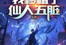 《腰子被噶,我移植了仙人五脏》陈凡小说免费阅读完整版-推书机