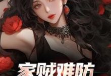 家贼难防：老婆是个扶弟魔免费阅读，家贼难防：老婆是个扶弟魔章节在线阅读-推书机