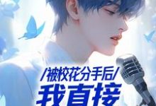 苏灿小说《被校花分手后，我直接演唱会封神》在线阅读-推书机