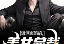 《潇洒离婚后,美女总裁绷不住了》小说章节列表免费试读,李南华周慕姗小说在线阅读-推书机