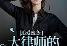 小说《追爱蜜恋:大律师的惹火宝贝》完整版在线章节免费阅读-推书机