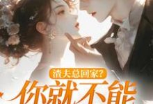 渣夫总回家?你就不能找找新欢小说有没有完结版在线?-推书机