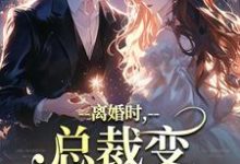 离婚时,总裁变偏执病娇了小说全文阅读需要付费吗?寻找免费资源-推书机