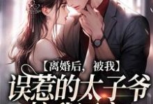 离婚后，被我误惹的太子爷接我回家免费阅读，离婚后，被我误惹的太子爷接我回家章节目录-推书机