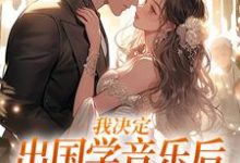 寻找能够免费阅读我决定出国学音乐后,大律师后悔了小说的平台-推书机