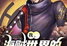 我,海贼世界的不死大将这本小说完结了吗?免费查看最新章节-推书机