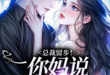 苏苒染小说总裁留步！你妈说让你娶我在线阅读章节-推书机