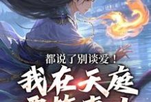 都说了别谈爱！我在天庭要搞事业这本小说怎么样？免费在线阅读试试-推书机
