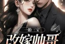 《一胎三宝，改嫁帅哥就是宠！》小说大结局免费试读 林清月小说-推书机