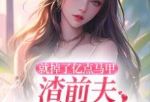 完结版《就掉了亿点马甲,渣前夫哭着求复婚》章节阅读-推书机