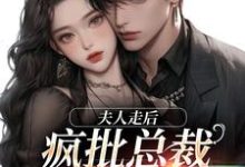 夫人走后,疯批总裁寻遍全世界苏妍顾焕之在线章节免费阅读-推书机