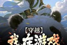 穿越:我在游戏里面当反派免费阅读,穿越:我在游戏里面当反派章节目录-推书机