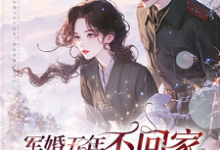 完结版《军婚五年不回家，带崽离婚又不肯》免费阅读-推书机