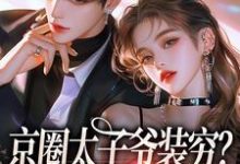 京圈太子爷装穷?我离婚了小说阅读,京圈太子爷装穷?我离婚了完结版-推书机