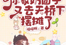 战爷你家奶团子又去天桥下摆摊了免费阅读,战爷你家奶团子又去天桥下摆摊了小糖糖-推书机