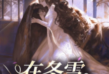 《在冬雪之季》沈青檀薄衿完整版小说免费阅读-推书机