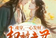 魂穿,一心发财,却被夫君宠成宝这本小说完结了吗?免费查看最新章节-推书机