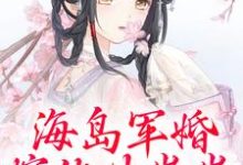 哪里能找到海岛军婚:嫁他生崽崽小说的全部章节?-推书机