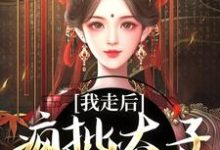 小说《我走后,疯批太子彻底癫了》章节免费阅读-推书机
