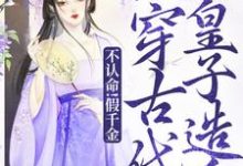 陈音完整版小说免费阅读-推书机