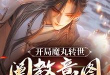 陆冲小说开局魔丸转世，阐教意图夺我江山在线阅读章节-推书机