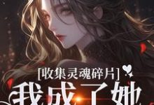 燕停小说《收集灵魂碎片,我成了她的心尖宠》完整版免费阅读-推书机