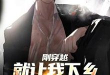 完整版小说《刚穿越就让我下乡，这该如何是好》免费阅读-推书机