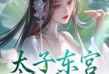太子东宫藏美人萧琰宋稚绾小说在线章节免费阅读-推书机