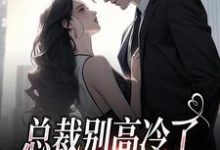小说完整版《总裁别高冷了,夫人离家出走了》免费阅读-推书机