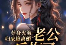 江若雨沈景明小说叫什么(葬身火海归来崽离婚,老公后悔了完整版免费阅读)-推书机