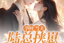 孕吐当天，陆总挟崽逼我结婚小说的所有章节都能在哪里免费读到？-推书机