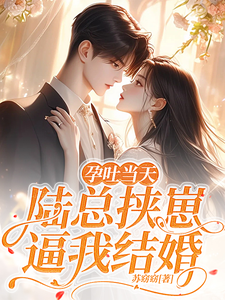 《孕吐当天，陆总挟崽逼我结婚》棠微陆瑾时小说免费阅读完整版