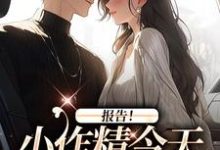 《报告！小作精今天怎么样了？》全集免费在线阅读（褚嫣）-推书机